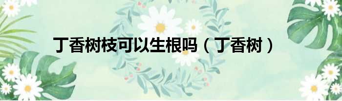 丁香树枝可以生根吗 丁香树