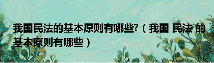 我国民法的基本原则有哪些  我国 民法 的基本原则有哪些