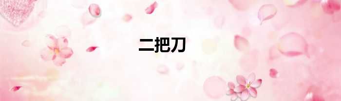 二把刀