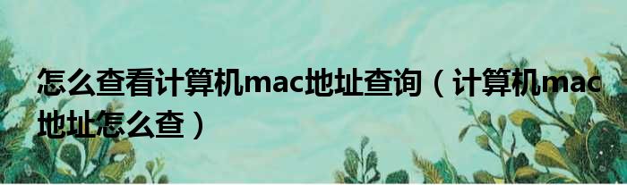 怎么查看计算机mac地址查询 计算机mac地址怎么查
