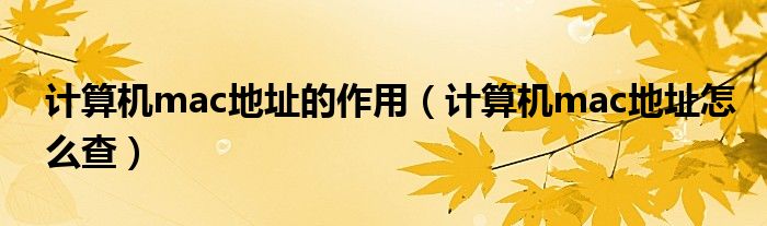 计算机mac地址的作用 计算机mac地址怎么查