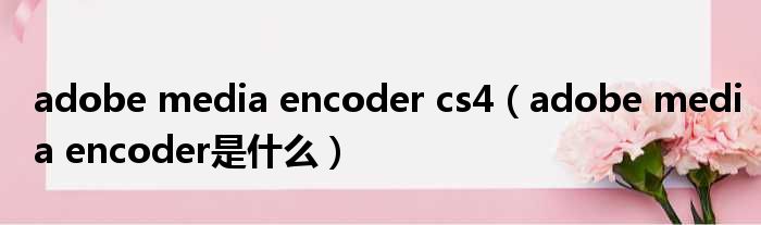 adobe media encoder cs4 adobe media encoder是什么