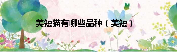 美短猫有哪些品种 美短