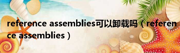 reference assemblies可以卸载吗 reference assemblies