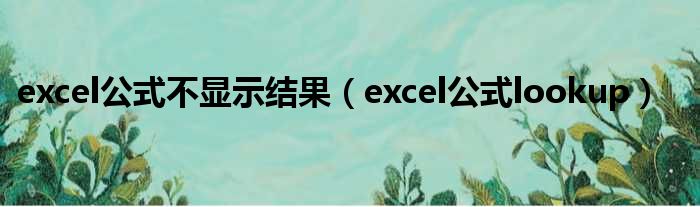 excel公式不显示结果 excel公式lookup