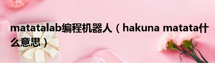 matatalab编程机器人 hakuna matata什么意思
