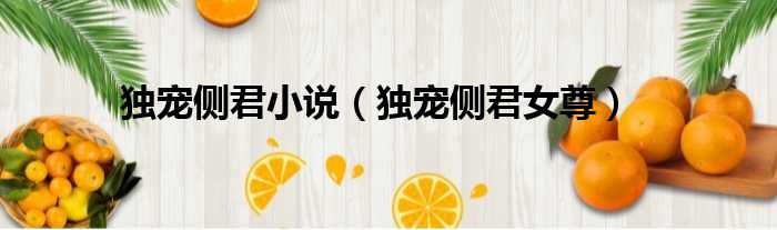 独宠侧君小说 独宠侧君女尊