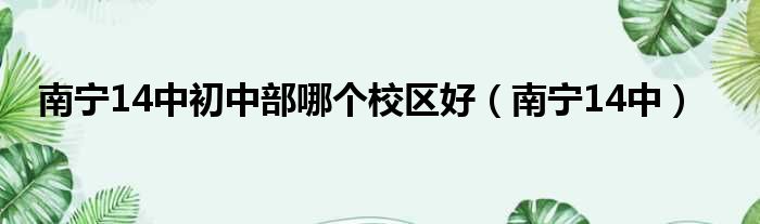 南宁14中初中部哪个校区好 南宁14中