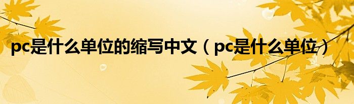 pc是什么单位的缩写中文 pc是什么单位