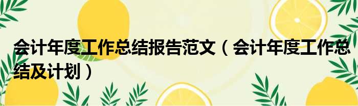会计年度工作总结报告范文 会计年度工作总结及计划