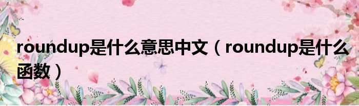 roundup是什么意思中文 roundup是什么函数