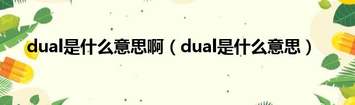 dual是什么意思啊 dual是什么意思