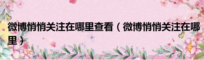 微博悄悄关注在哪里查看 微博悄悄关注在哪里