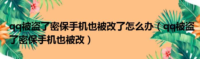 qq被盗了密保手机也被改了怎么办 qq被盗了密保手机也被改
