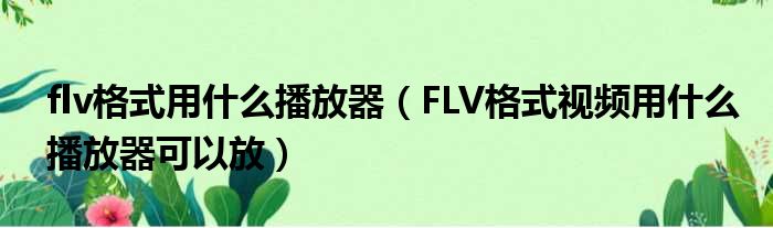 flv格式用什么播放器 FLV格式视频用什么播放器可以放