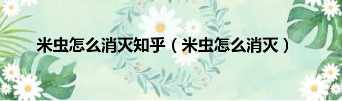 米虫怎么消灭知乎 米虫怎么消灭