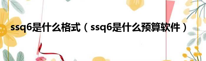 ssq6是什么格式 ssq6是什么预算软件