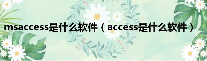 msaccess是什么软件 access是什么软件