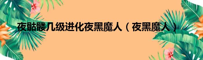 夜骷髅几级进化夜黑魔人 夜黑魔人