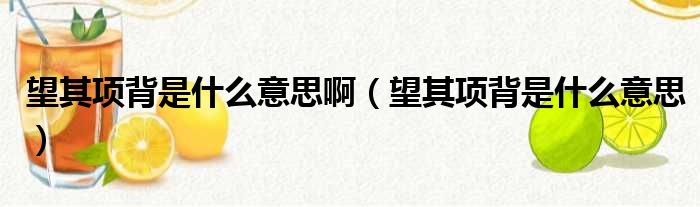 望其项背是什么意思啊 望其项背是什么意思
