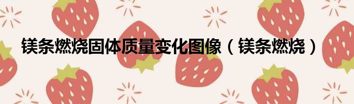 镁条燃烧固体质量变化图像 镁条燃烧