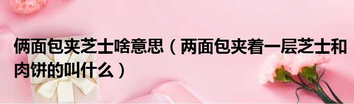 俩面包夹芝士啥意思 两面包夹着一层芝士和肉饼的叫什么