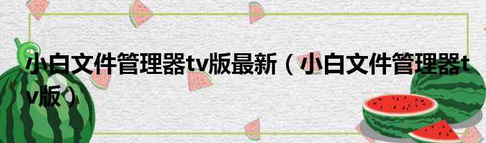 小白文件管理器tv版最新 小白文件管理器tv版