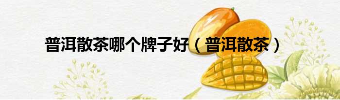 普洱散茶哪个牌子好 普洱散茶