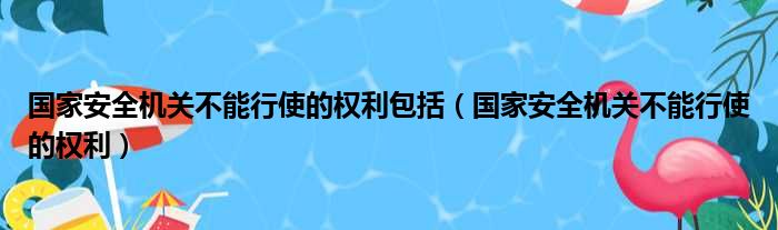 国家安全机关不能行使的权利包括 国家安全机关不能行使的权利