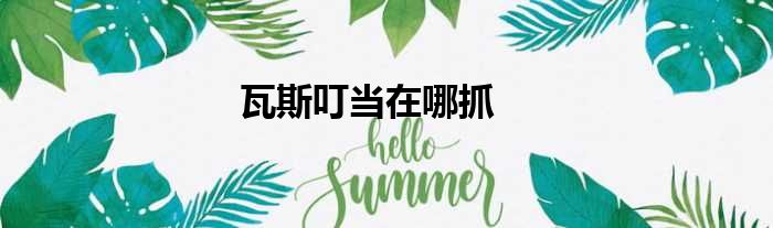 瓦斯叮当在哪抓