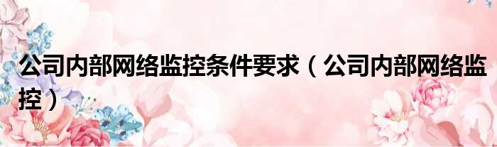 公司内部网络监控条件要求 公司内部网络监控