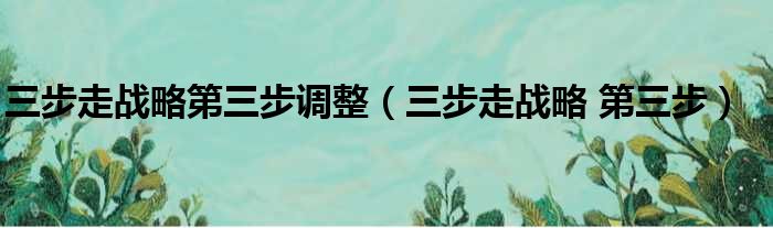 三步走战略第三步调整 三步走战略 第三步
