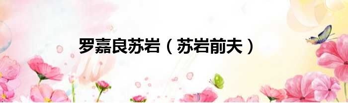 罗嘉良苏岩 苏岩前夫