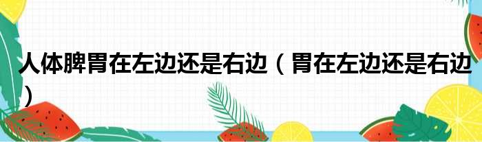 人体脾胃在左边还是右边 胃在左边还是右边