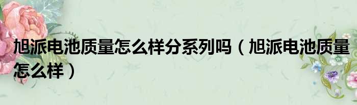 旭派电池质量怎么样分系列吗 旭派电池质量怎么样
