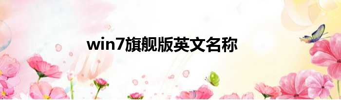win7旗舰版英文名称