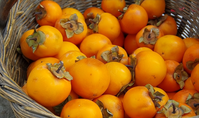 柿子摘下来是硬的要用什么方法才能让它熟