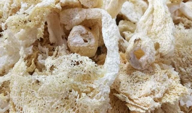 神奇的竹茹 竹茹图片