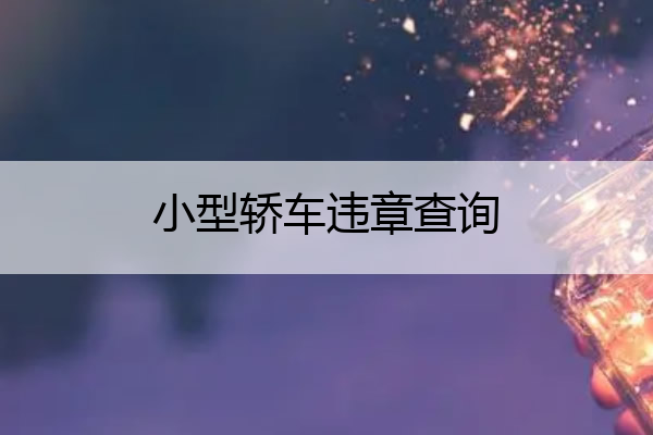 小型轿车违章查询 小型轿车违章查询记录