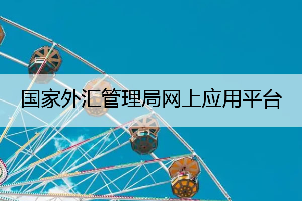 国家外汇管理局网上应用平台 国家外汇管理局信息门户