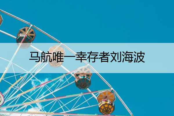 马航唯一幸存者刘海波 马航幸存者刘海波是真的吗?