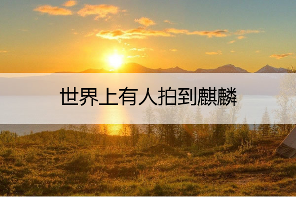 世界上有人拍到麒麟 麒麟世界上有吗